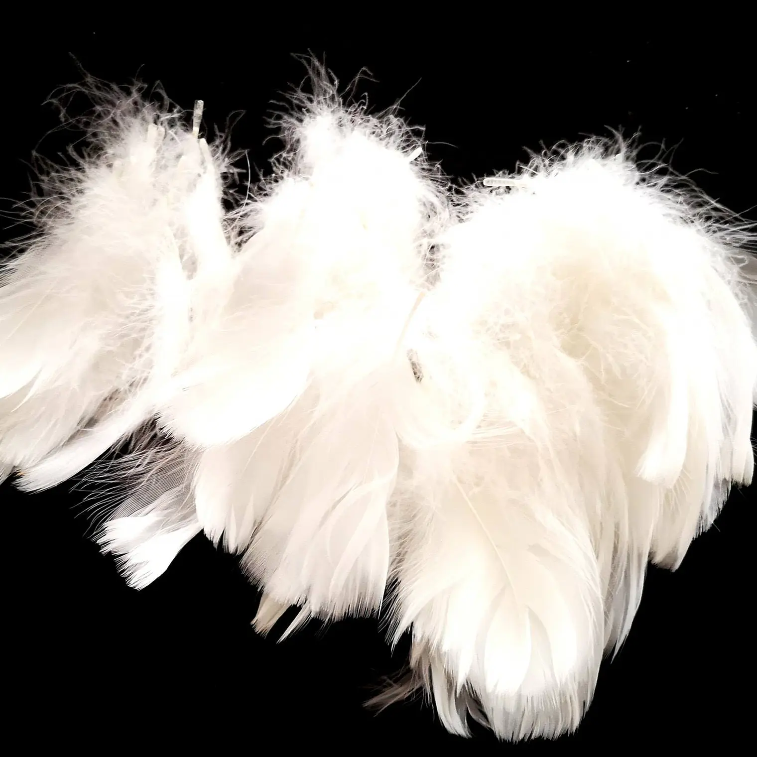 Bolsa con Plumas Blancas entre 4 y 8cm Para artesania 4