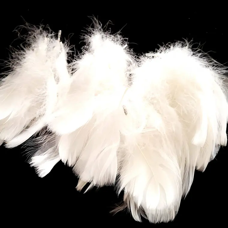 Bolsa con Plumas Blancas entre 4 y 8cm Para artesania 4