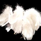 Bolsa con Plumas Blancas entre 4 y 8cm Para artesania - thumbnail 4