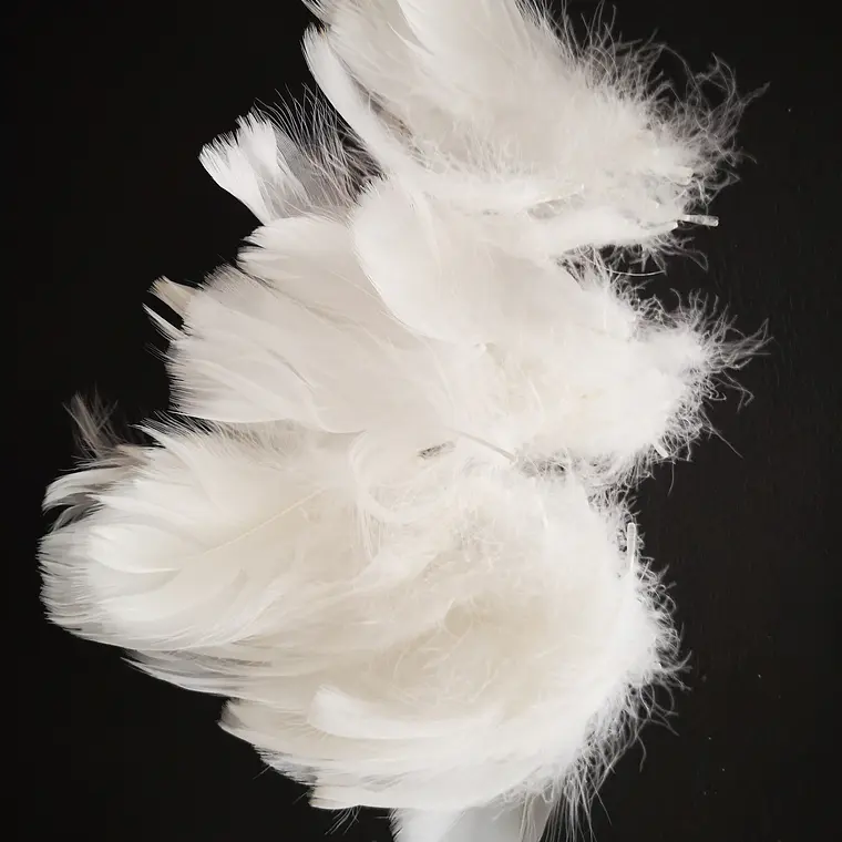 Bolsa con Plumas Blancas entre 4 y 8cm Para artesania 5