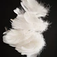 Bolsa con Plumas Blancas entre 4 y 8cm Para artesania - thumbnail 5