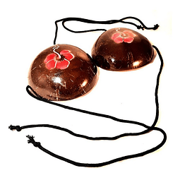 Coconut Bra with Hibiscus Ideal for Polynesian Dances