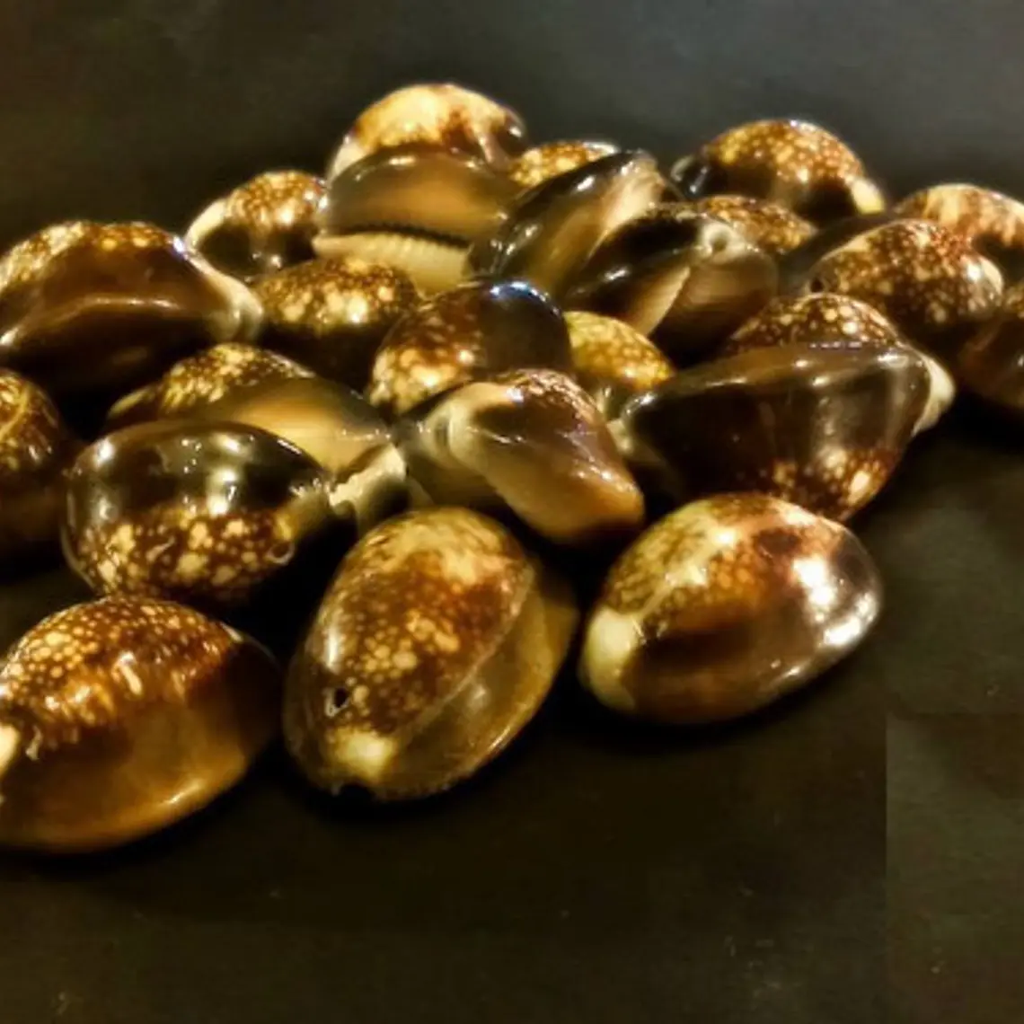 Bolsa De 40 Conchitas Pure Cafe Variedad De Tamaños 2