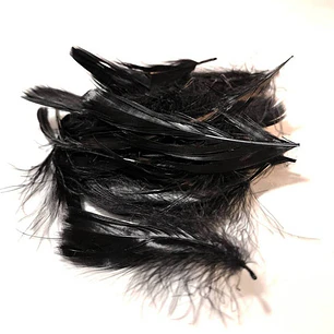 Bolsa app 100 Plumas Negras de 4 a 8cm app 100un