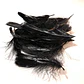 Bolsa app 100 Plumas Negras de 4 a 8cm app 100un - Miniatura 1