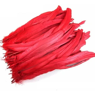 Pack 8 Plumas vaero Largas Rojas 20 A 25cm 