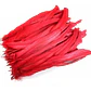 Pack 8 Plumas vaero Largas Rojas 20 A 25cm  - Miniatura 2