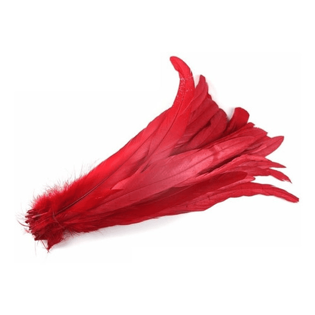 Pack 8 Plumas vaero Largas Rojas 20 A 25cm 