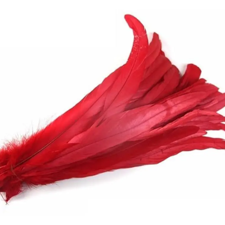 Pack 8 Plumas vaero Largas Rojas 20 A 25cm  1