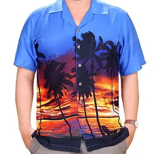 Hawaii Shirt 2nd Selection Size Xl