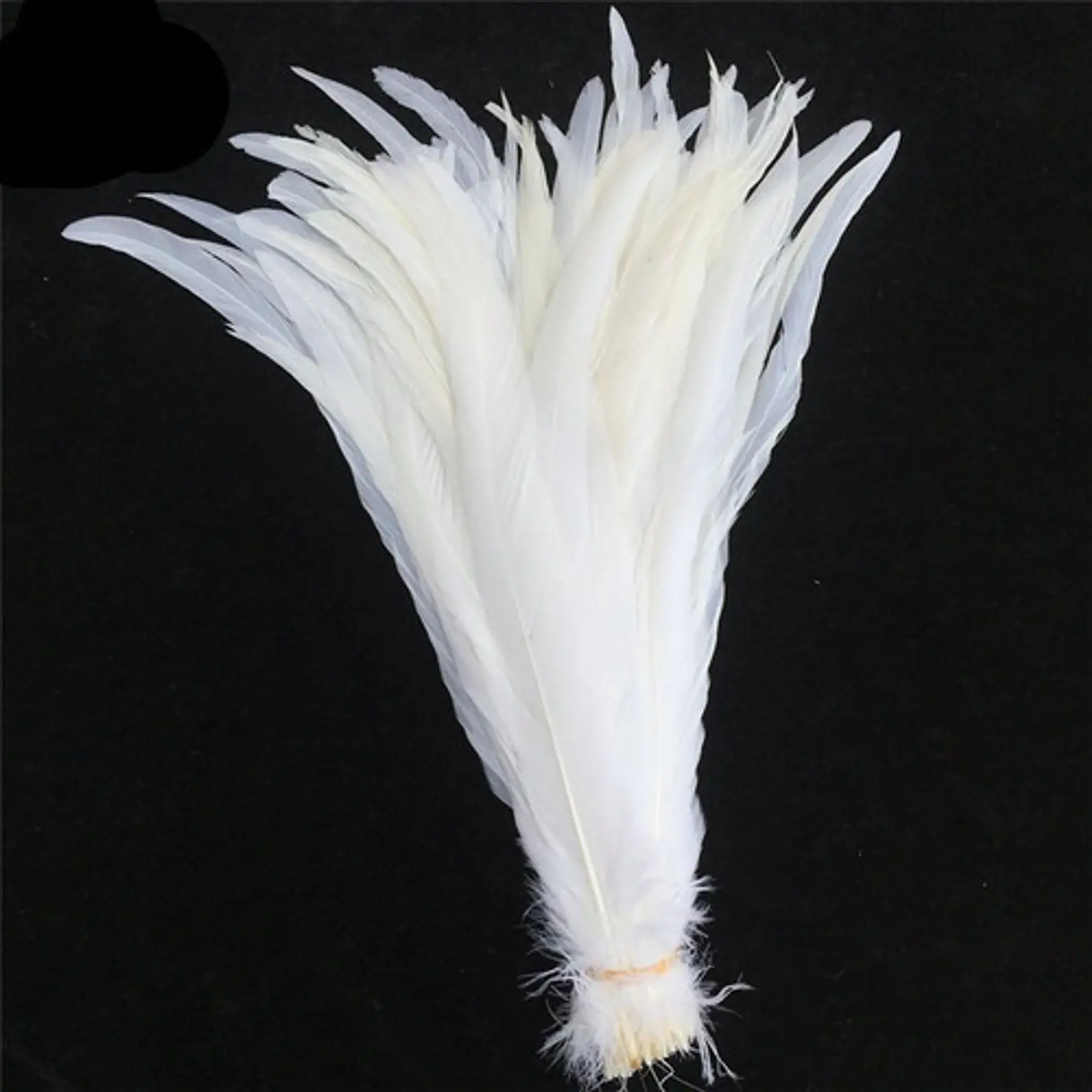 Pack 8 Plumas vaero Largas Blancas 18 A 20cm 1