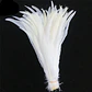 Pack 8 Plumas vaero Largas Blancas 18 A 20cm - thumbnail 1