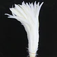 Pack 8 Plumas vaero Largas Blancas 18 A 20cm - thumbnail 3