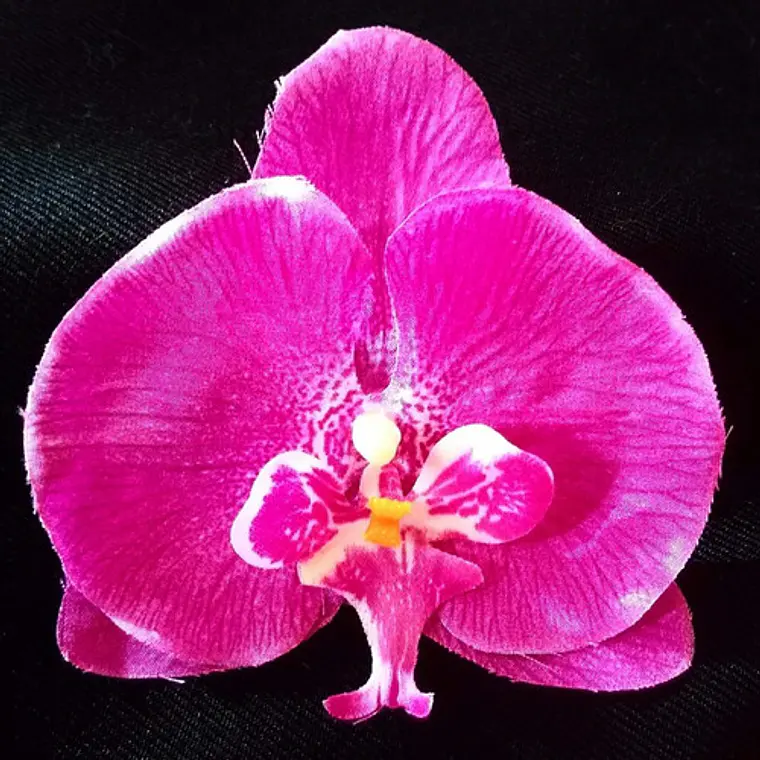 Orquídea lila de tela para el cabello  4