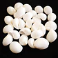 Bolsa 80 Conchitas caracol tamaño entre 1,5 y 2cm  - Miniatura 1