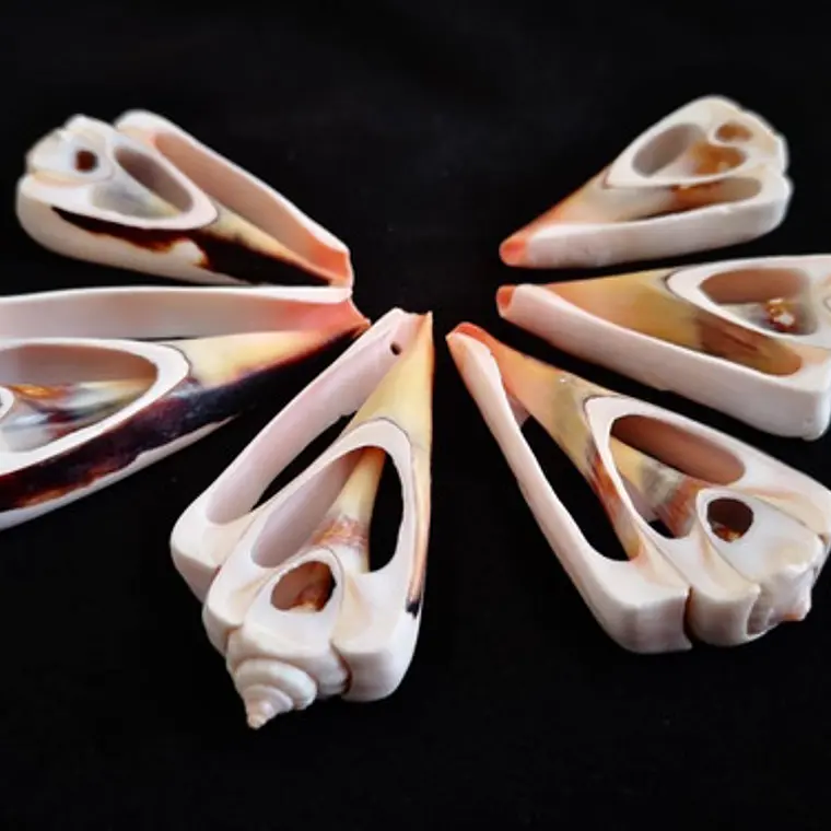 Pack 10 pink / orange shells size 4 and 4.5cm 1