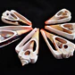 Pack 10 pink / orange shells size 4 and 4.5cm - thumbnail 1