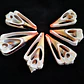 Pack 10 pink / orange shells size 4 and 4.5cm - thumbnail 2