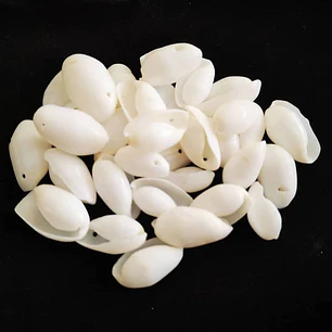 Bag of 60 buble shells size between 2 and 2.5cm