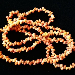 Collar Pipi Hawaii naranjo - largo 105cm 