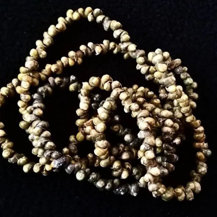 Collar Pipi Hawaii verde -  largo 105cm  1