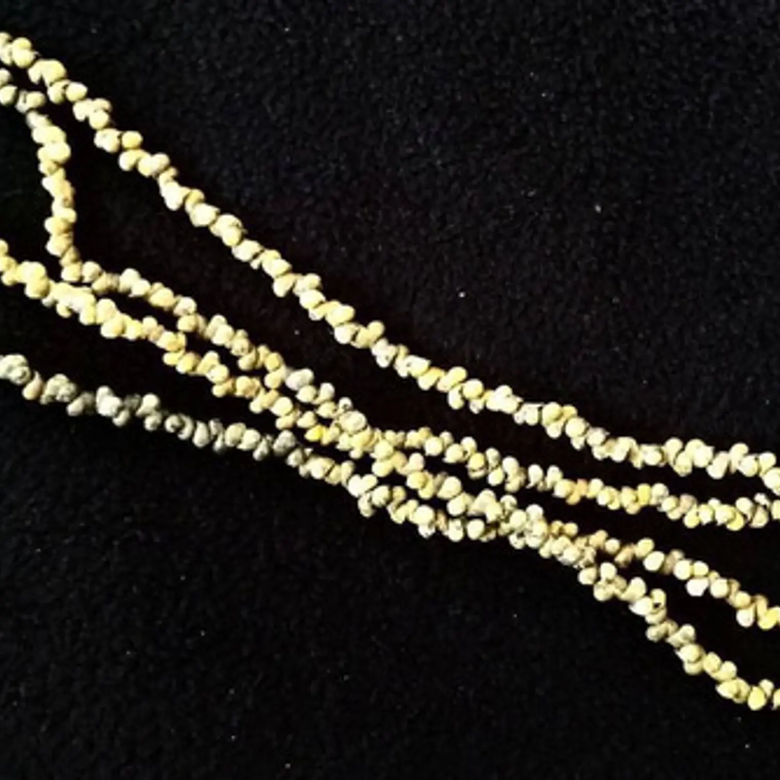 Collar Pipi Hawaii verde -  largo 105cm  3