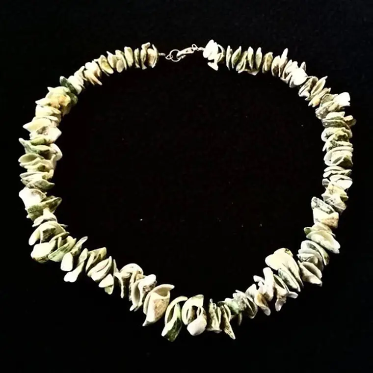 Collar Corto 45cm Conchas Verdes   1