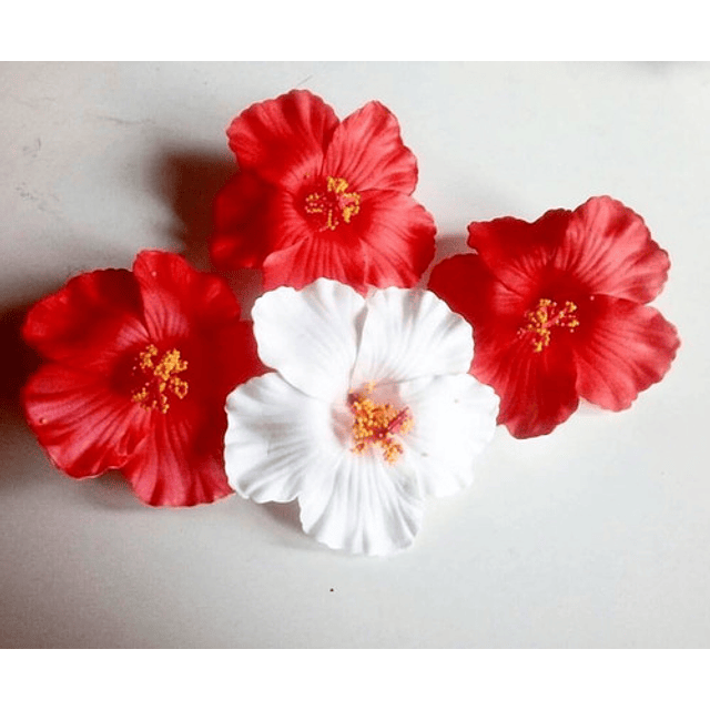 Pack de 5 Flores de Hibisco Rojo o Blanco para el cabello 