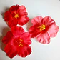 Pack of 5 Red or White Hibiscus Flowers for hair - thumbnail 5