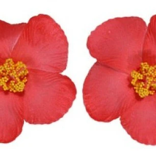 Pack of 5 Red or White Hibiscus Flowers for hair