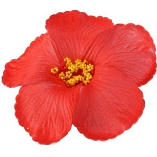 Pack of 5 Red or White Hibiscus Flowers for hair