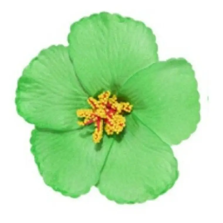 Flor Hibisco Verde Con Pinza para el cabello 2