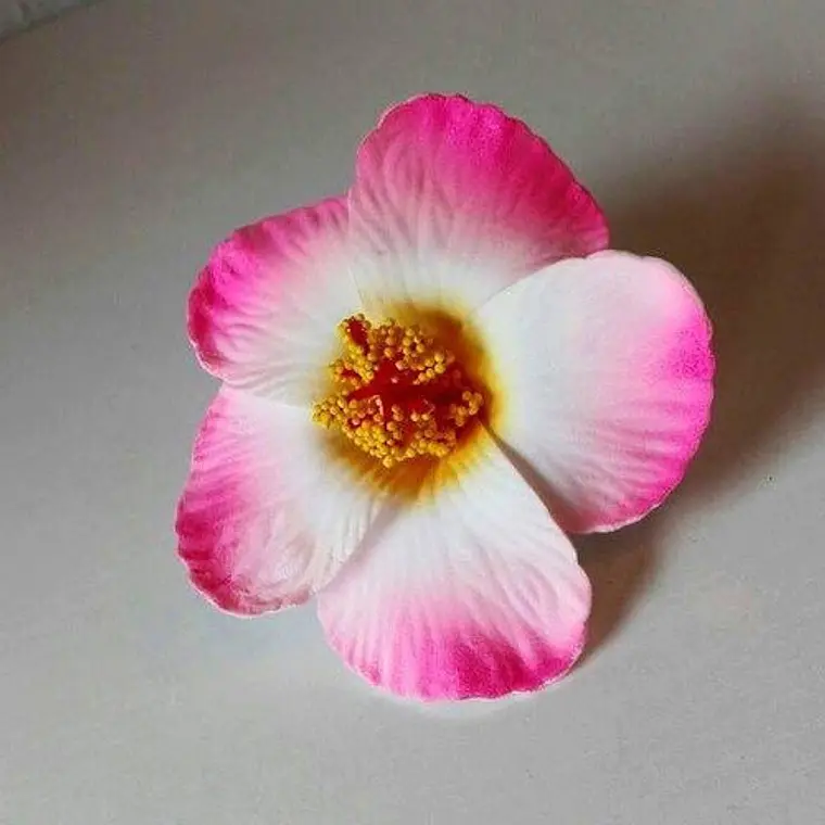 Flores Polinesicas Hibisco Rosado Con Blanco Con Pinza 1