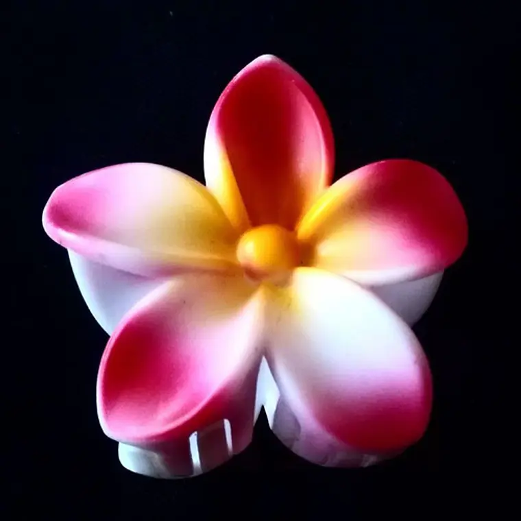 Flores Polinesicas Frangipani Rosada Tipo Tiburon 1
