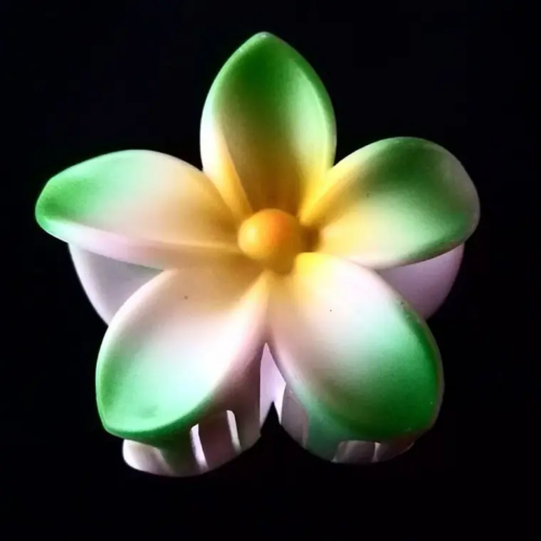 Flor Frangipani Verde Tipo Tiburon para el cabello 4