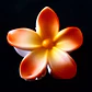 Flor Frangipani Naranjo plastico Tipo Tiburon  - thumbnail 5