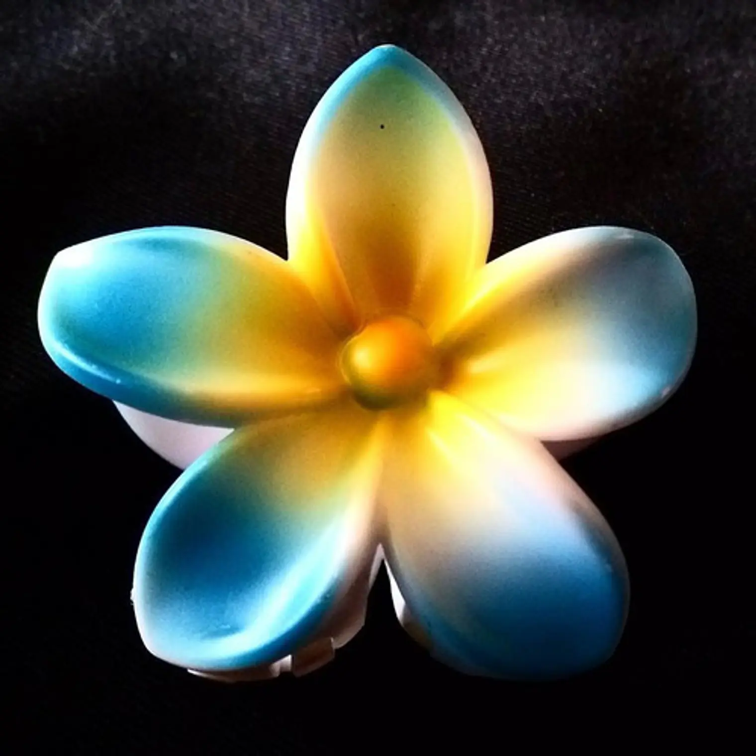 Flores Polinesicas Frangipani Azul Tipo Tiburon  1