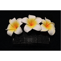 Flores Polinesicas Frangipani Peine