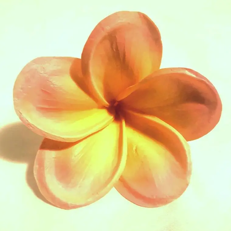 Frangipani Plumeria Para El Cabello Color Coral Claro con palito 1