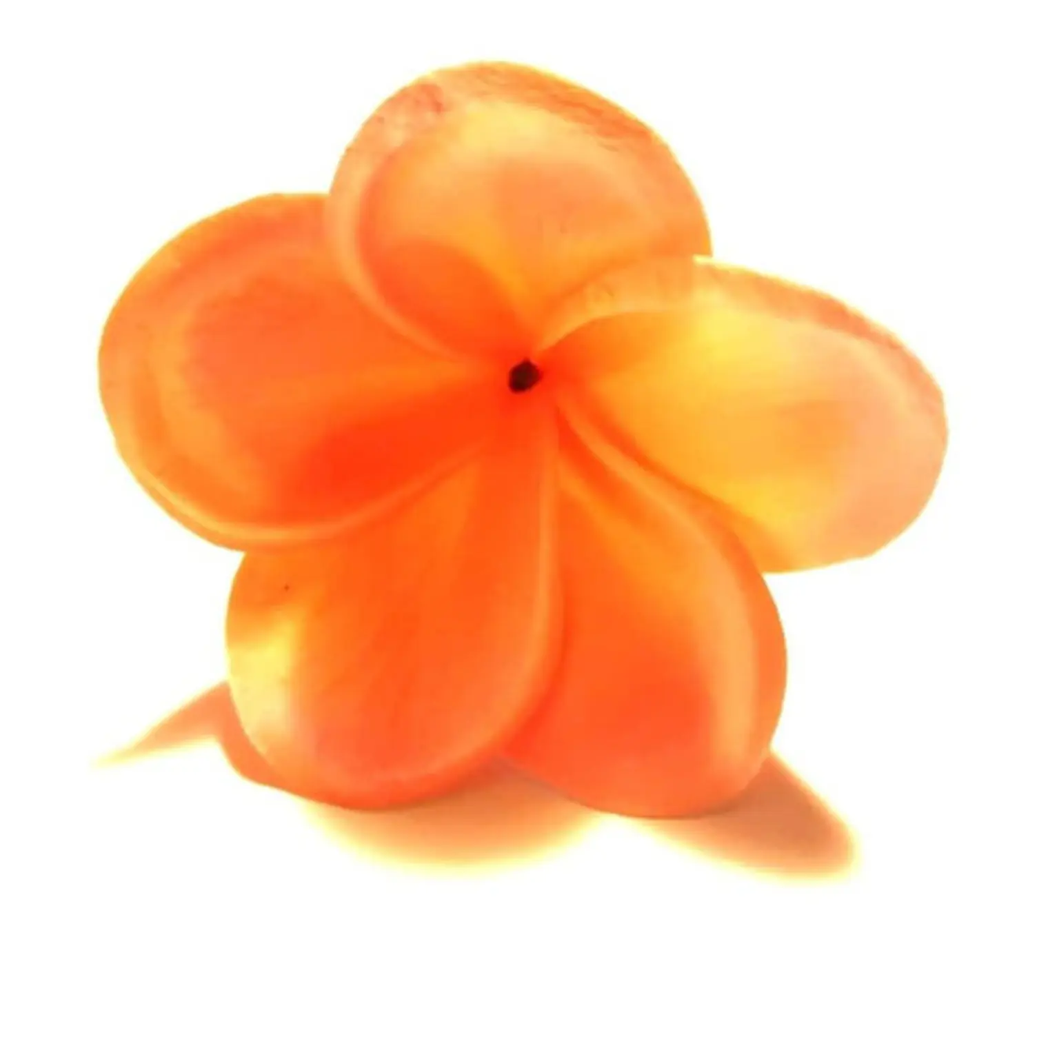 Frangipani Plumeria Para El Cabello Color Coral Claro con palito 4
