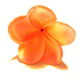 Frangipani Plumeria Para El Cabello Color Coral Claro con palito - thumbnail 4
