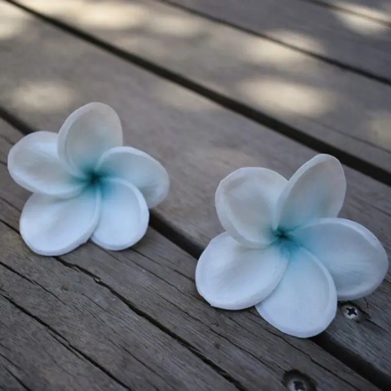 Frangipani Plumeria Para El Cabello Color Blanco Con Azul con palito 2