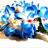 Coronas de flores azul y hojas elasticada 