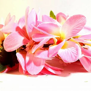 Coronas de flores rosada y hojas elasticada 