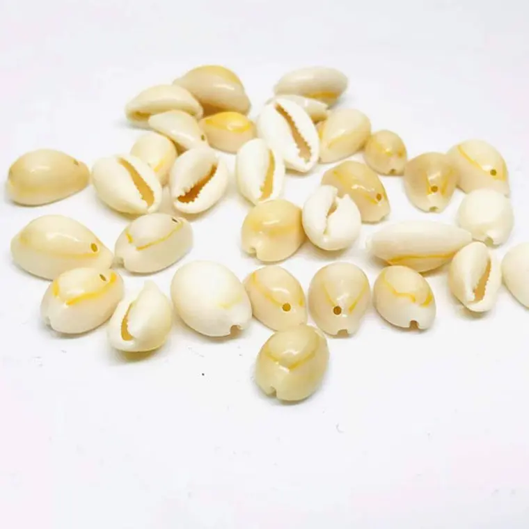 Bolsa De 50 Unidades Conchitas Cauri / Pure blanco 1