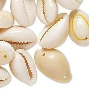 Bolsa De 50 Unidades Conchitas Cauri / Pure blanco
