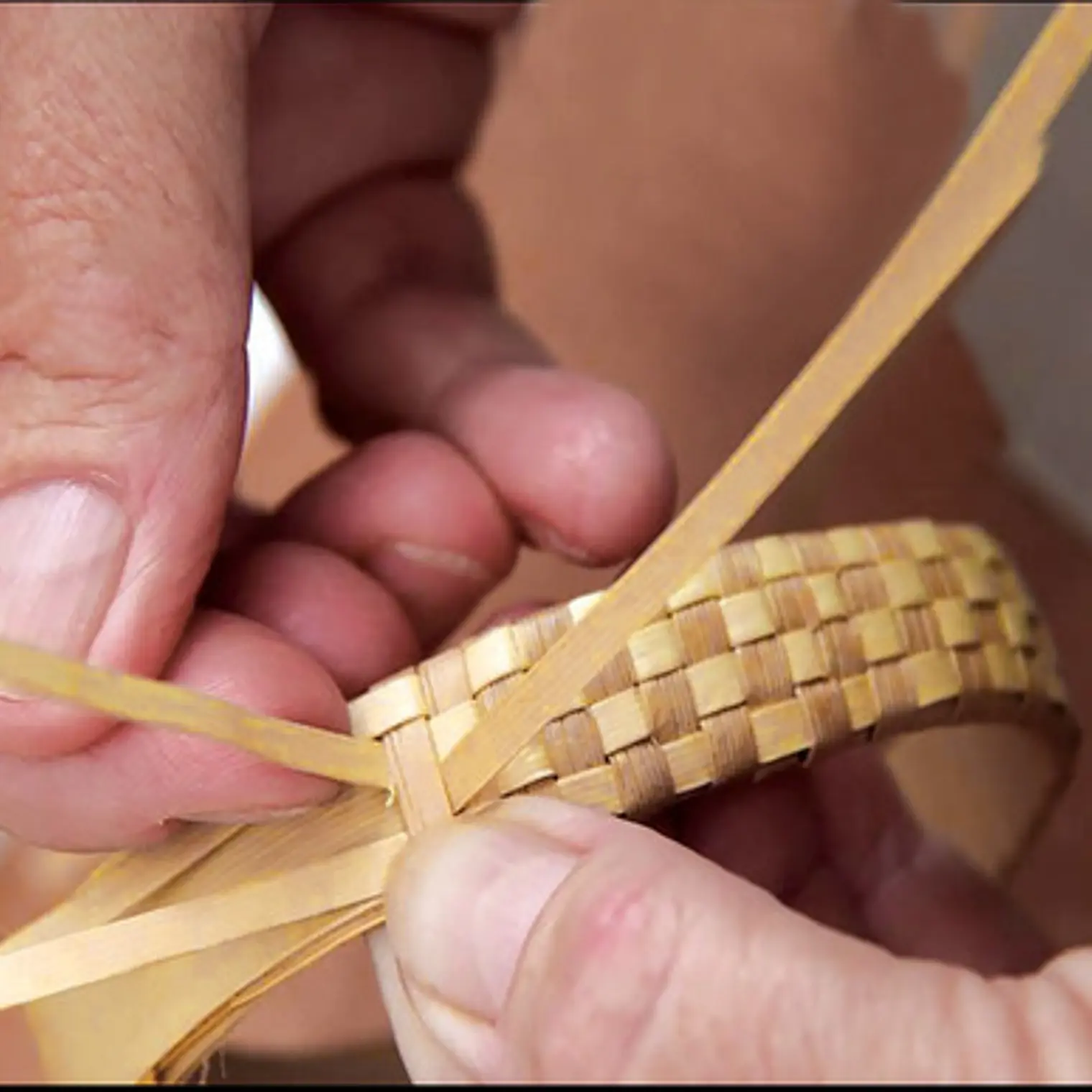 3 Hojas De Pandanus De Tahiti Fibra Ideal Para Artesania 2
