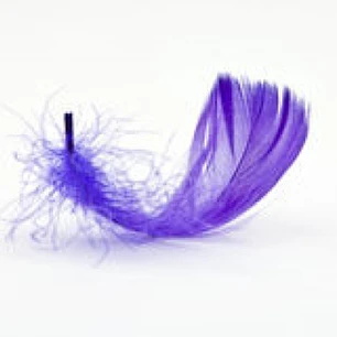 Bolsa Plumas Moradas Purpura 4 A 8cm app 100un