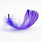 Bolsa Plumas Moradas Purpura 4 A 8cm app 100un - thumbnail 2