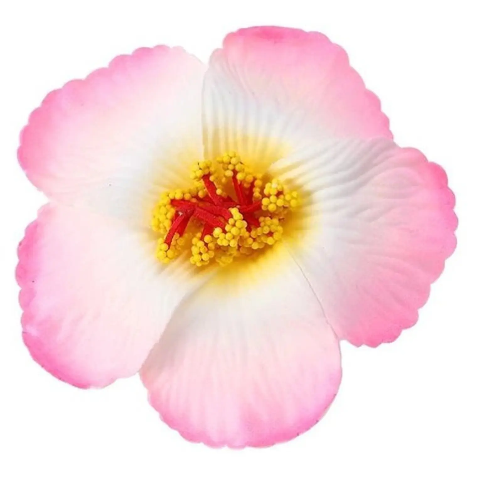 Hibisco Blanco Con Fuscia Con Pinza Para El Cabello 1